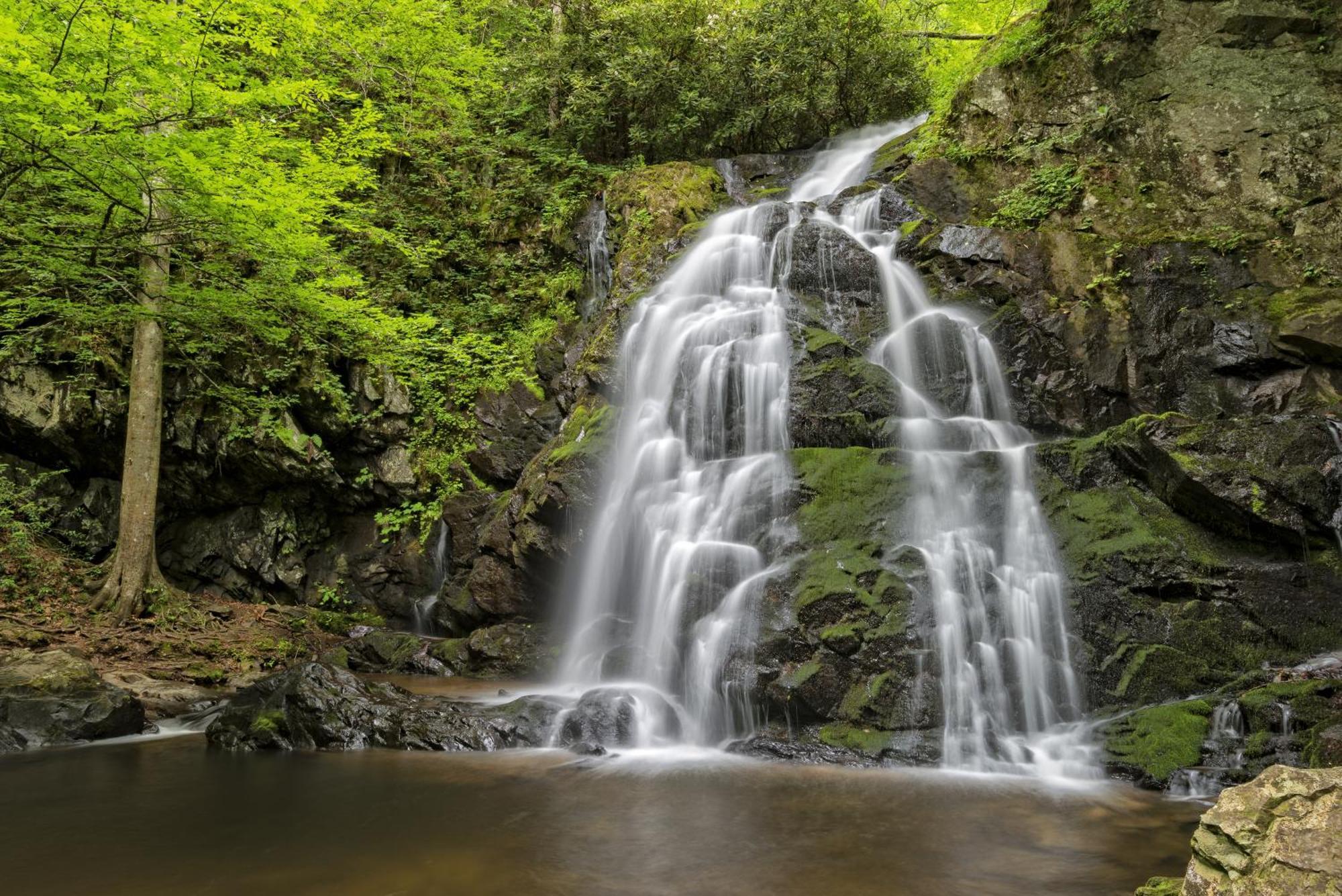 Magical Moments, Hot Tub, Wifi, 1089 Free Tickets Each Paid Day, Dollywood And More Gatlinburg Eksteriør bilde